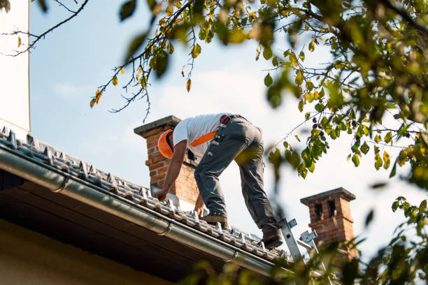 Best Roofing Contractor Near Me  in Ruston, WA